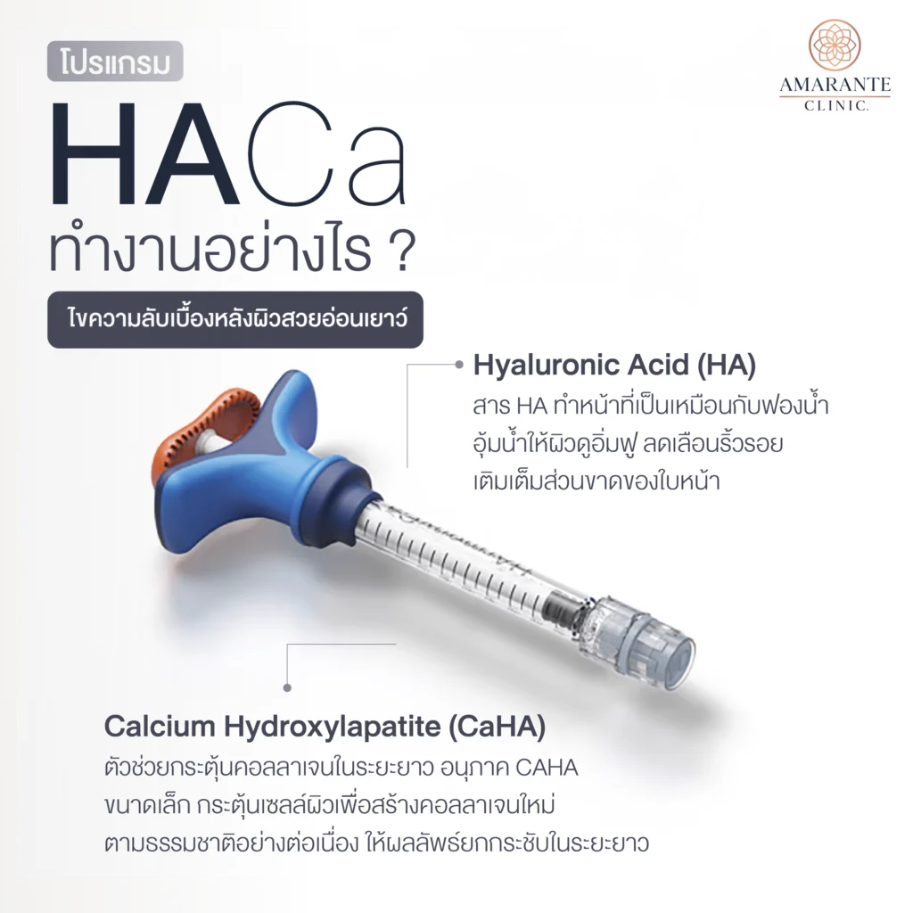 ภาพอธิบายกลไกการออกฤทธิ์ของ HArmonyCa ทำงานอย่างไร